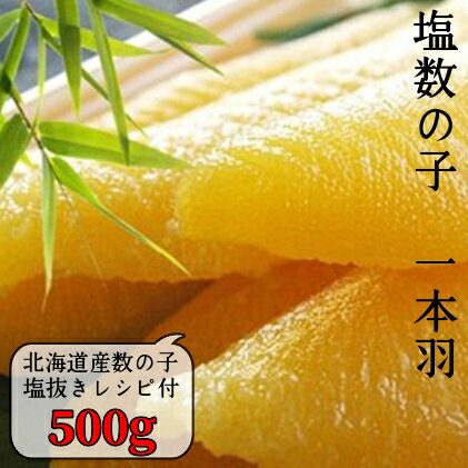 20位! 口コミ数「1件」評価「5」 国産 塩数の子ジャンボ 北海道産 1本羽 500g mi0012-0069 千葉県 南房総市 ニシン 大きい 卵 魚卵 食感 バリバリ 塩･･･ 