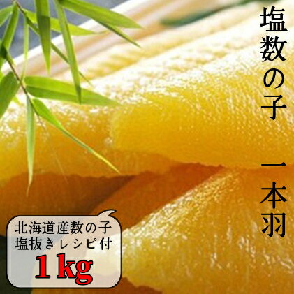 【ふるさと納税】 国産 塩数の子ジャンボ 北海道産 1本羽 1kg 小分け 500g×2袋 mi0012-0070 千葉県 南..