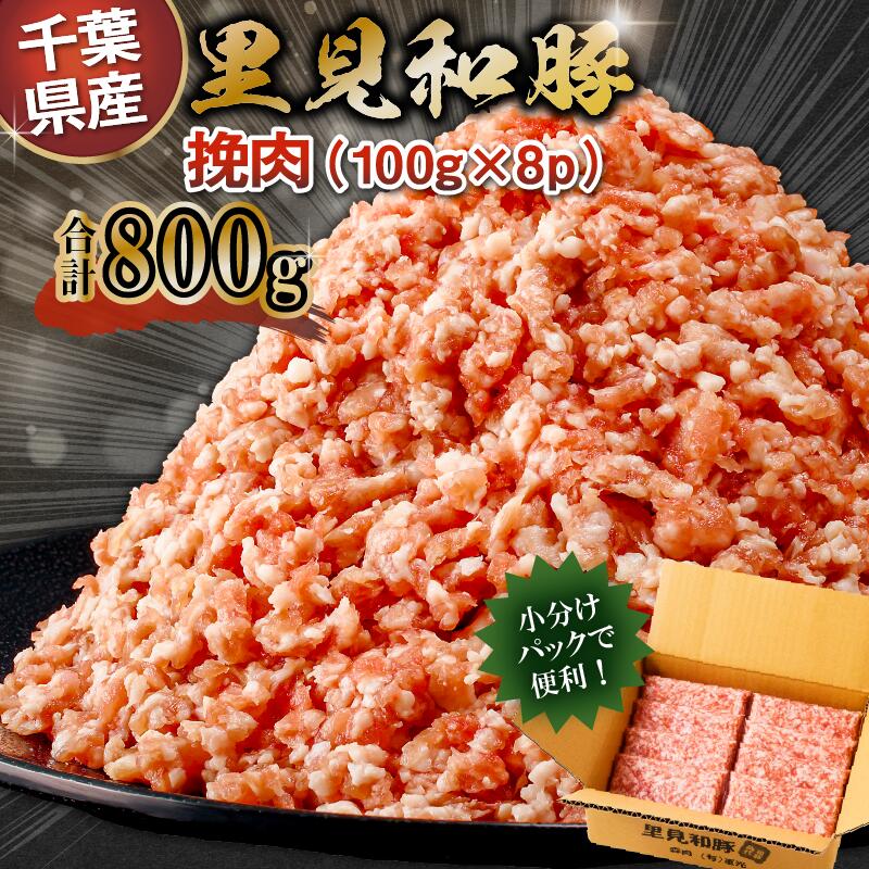 17位! 口コミ数「0件」評価「0」 里見和豚 小分け 挽肉800g 100g×8パック 個別包装 トレイ不使用 mi0017-0007 千葉県 南房総市 ブランド豚 きめ細や･･･ 