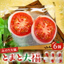 【ふるさと納税】 みのり大福 (とまと大福) 6個入り 千葉県 南房総市 和菓子 スイーツ 自家製 白餡 餅 お菓子 手作り お取り寄せ グルメ 送料無料