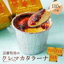 【ふるさと納税】 近藤牧場のクレマカタラーナ 110g×3個 冷凍プリン カタラーナ mi0003-0005 千葉県 南房総市 おやつ デザート お菓子 フローズンデザート 乳製品 冷凍 洋菓子 クリームブリュレ お取り寄せ グルメ 送料無料