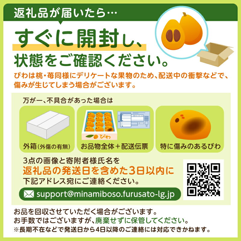 【ふるさと納税】【先行受付 2026年5月下旬～6月中旬発送予定】房州びわ(露地)12粒入2Lサイズ以上1箱 枇杷 皇室献上品 千葉県 南房総市 甘み 酸味 瑞々しい 常温 フルーツ 新鮮 果物 肉厚 大粒 ご贈答品 送料無料