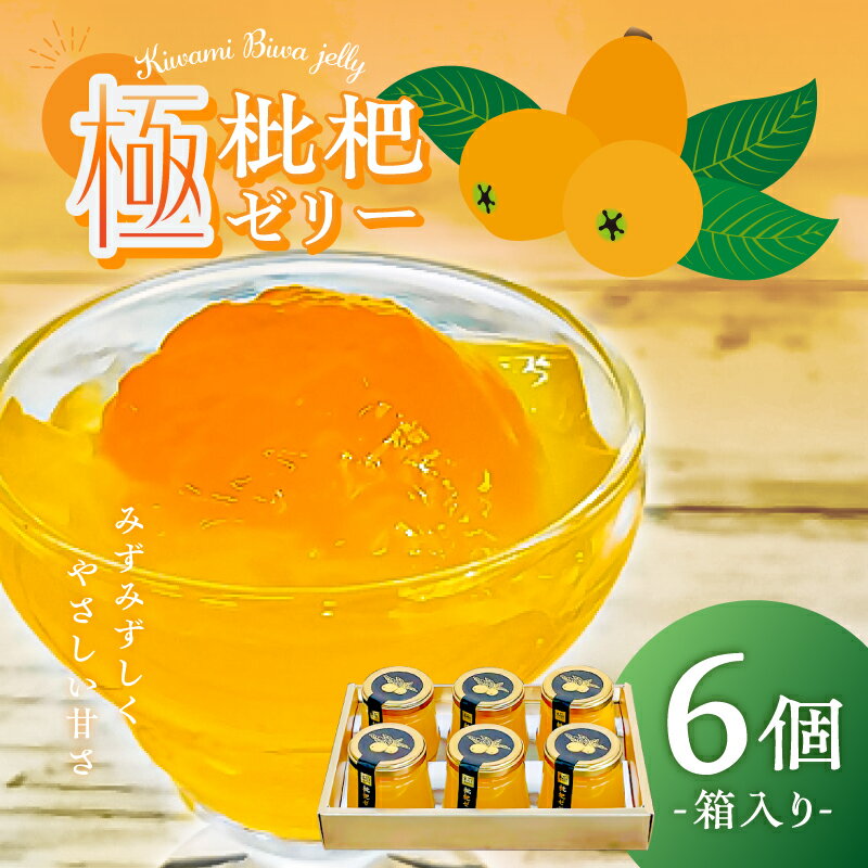 極枇杷ゼリー6個箱入 千葉県 南房総市 房州びわ ゼリー 果物 ギフト 富浦 道の駅 とみうら 枇杷倶楽部 スイーツ お菓子 おやつ 甘味 果肉 半実 みずみずしい 送料無料