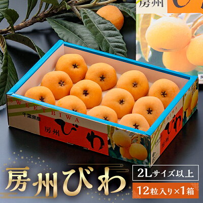 楽天ふるさと納税　【ふるさと納税】 【先行受付 2024年5月下旬からお届け】 房州びわ 露地 12粒入2Lサイズ以上1箱 mi0010-0010 千葉県 南房総市 甘み 酸味 瑞々しい 常温 フルーツ 新鮮 果物 肉厚 大粒 ご贈答品 送料無料