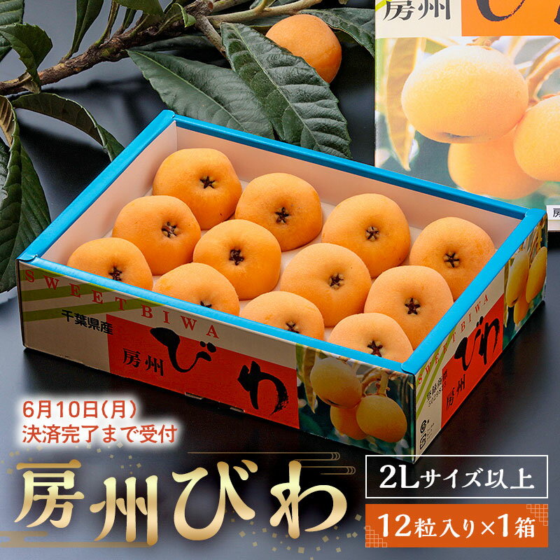 【ふるさと納税】【6月10日決済完了まで受付】 房州 びわ 露地 12粒入2Lサイズ以上1箱 枇杷 皇室献上品 千葉県 南房総市 甘み 酸味 瑞々しい 常温 フルーツ 新鮮 果物 肉厚 大粒 ご贈答品 送料…