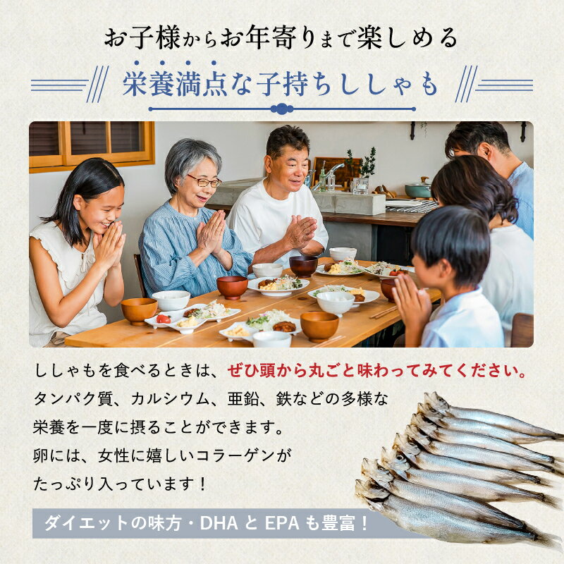 【ふるさと納税】【訳あり】子持ちししゃも 1.5kg 500g×3袋 mi0012-0116 千葉県 南房総市 カラフトシシャモ 魚 焼き魚 小分け 冷凍 栄養豊富 カルシウム おかず おつまみ 天ぷら フライ 南蛮漬け お取り寄せ 送料無料