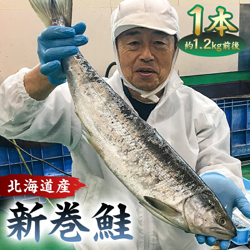 【ふるさと納税】 新巻鮭1本（1.2kg前後・北海道産） mi0012-0142 千葉県 南房総市 厳選 秋鮭 加工食品 昔ながら 山漬け まるごと 尾頭付き 内臓処理済み お取り寄せ グルメ お弁当 おかず 魚 国産 送料無料