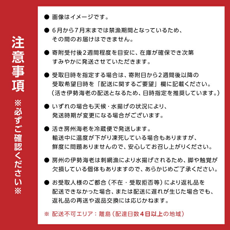 【ふるさと納税】房州産天然伊勢えび 約1kg mi0014-0011 千葉県 南房総市 海産物 海鮮 魚介 海 海老 房州えび 贈答品 ギフト 新鮮 鮮度 活き BBQ 味噌汁 海の幸 お刺身 お手頃 サイズ お取り寄せ グルメ 送料無料