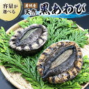 【ふるさと納税】【先行受付 2025年5月~9月上旬発送予定】【容量が選べる】房州産天然黒あわび 千葉県 南房総市 海産物 貝 魚貝 あわび ブランド 水産品 ...