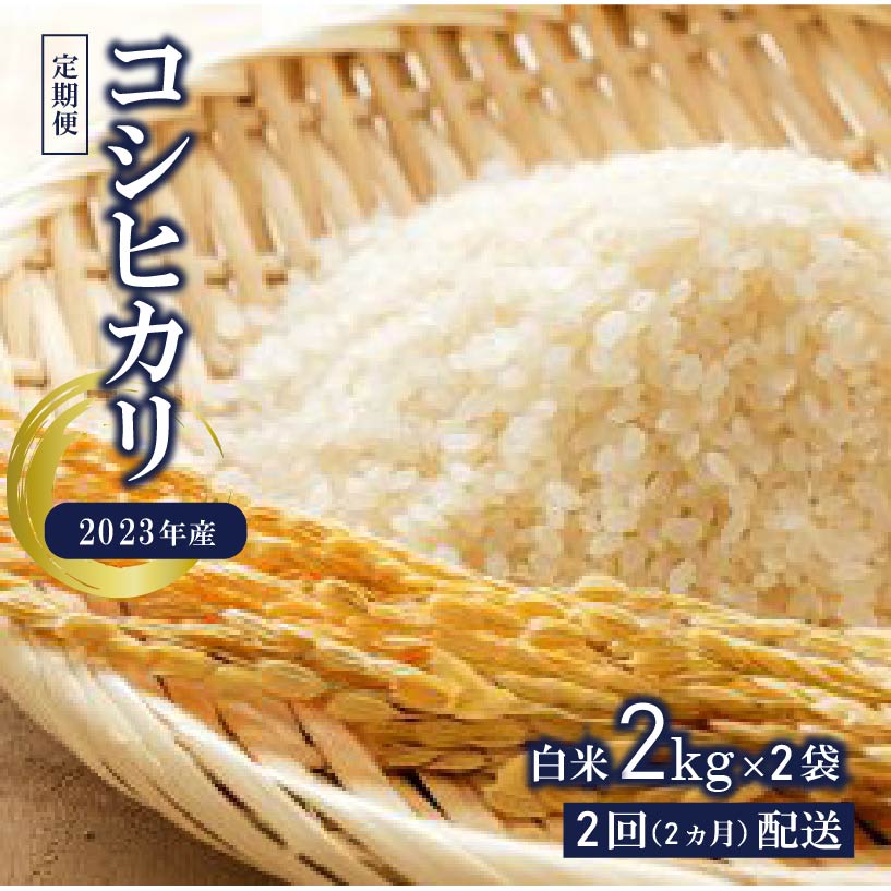 定期便 2023年産 コシヒカリ白米2kg×2【2か月連続でお届け】 mi0015-0002 千葉県 南房総市 お米 おにぎり 精米 食品 お取り寄せ 送料無料