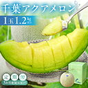 【ふるさと納税】 定期便 千葉アクアメロン1玉(1.2Kg) 3か月連続お届け 高評価レビュー 大人気 高級品 厳選 メロン 化粧箱入り フルーツ 果物 デザート 農園 千葉県 南房総市 お取り寄せ グルメ 送料無料