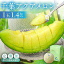 【ふるさと納税】 定期便 千葉アクアメロン1玉(1.4Kg) 4か月連続お届け 高評価レビュー 人気 高級品 厳選 メロン 化粧箱入り フルーツ 果物 デザート 農園 千葉県 南房総市 お取り寄せ グルメ 送料無料