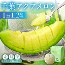 【ふるさと納税】 定期便 千葉アクアメロン1玉(1.2Kg) 10ヶ月連続お届け 高評価レビュー 人気 高級品 厳選 メロン 化粧箱入り フルーツ 果物 デザート 農園 千葉県 南房総市 お取り寄せ グルメ 送料無料