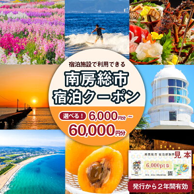 楽天ふるさと納税　【ふるさと納税】【枚数が選べる】 南房総市 宿泊施設で利用できる 感謝券 旅行 チケット 関東 千葉 旅行券 宿泊券 リゾート 宿泊 海 サーフィン 自然 観光 あわび 海鮮 伊勢海老 海老 海産物 フルーツ 野菜 温泉 民宿 旅館 ホテル ギフト mi0023-0001～mi0023-0003