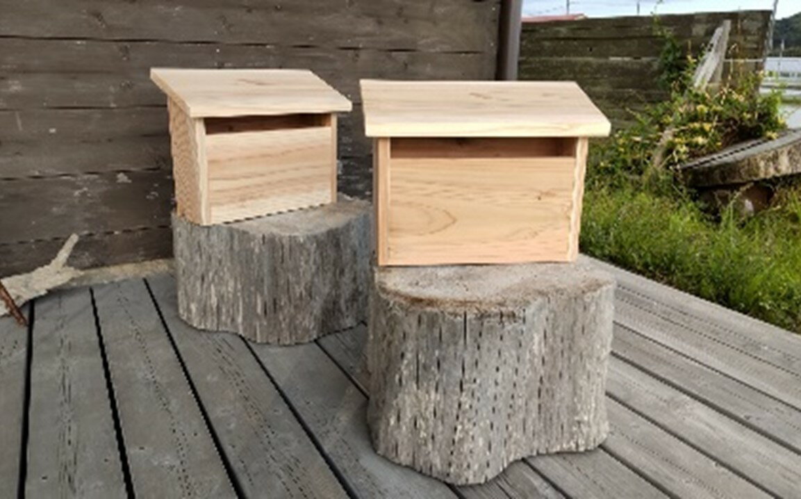 千葉県南房総市の画像3