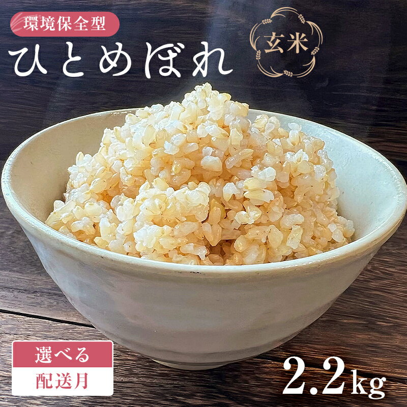 【ふるさと納税】【配送月が選べる】環境保全型ひとめぼれ 玄米2.2kg【2024年産】 千葉県 南房総市 ブランド米 お米 米 ご飯 米作り 離乳食 お弁当 おにぎり 栄養 赤ちゃん お取り寄せ グルメ 送料無料