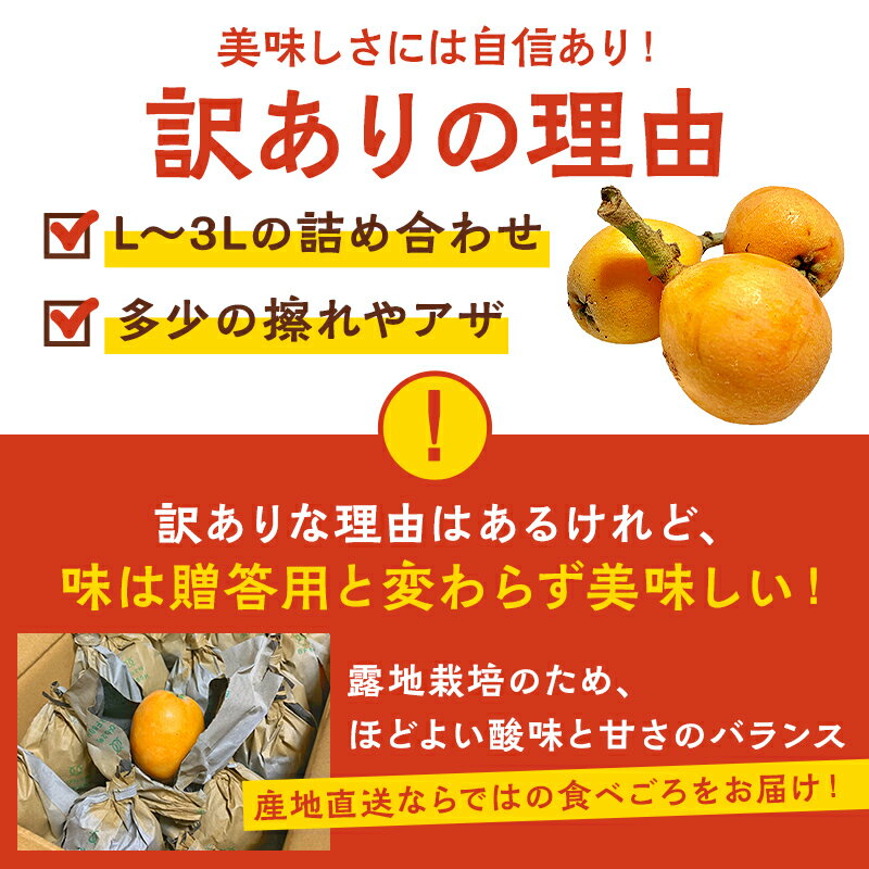 【ふるさと納税】【先行受付 2024.5月よりお届け】〈訳あり〉房州びわ(露地栽培) 2kg 詰め合わせ mi0038-0001千葉県 南房総市 食べ応え フルーツ 果物 お取り寄せ グルメ 送料無料