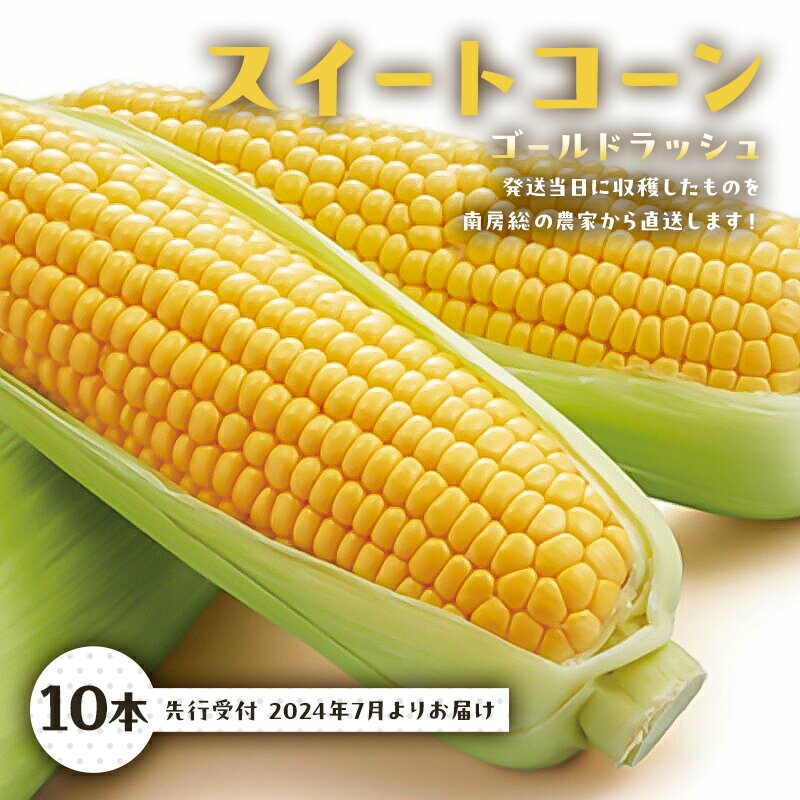 6位! 口コミ数「0件」評価「0」【先行受付 2024年7月よりお届け】トウモロコシ スイートコーン ゴールドラッシュ 10本 発送当日に収穫したものを南房総の農家から 直送･･･ 