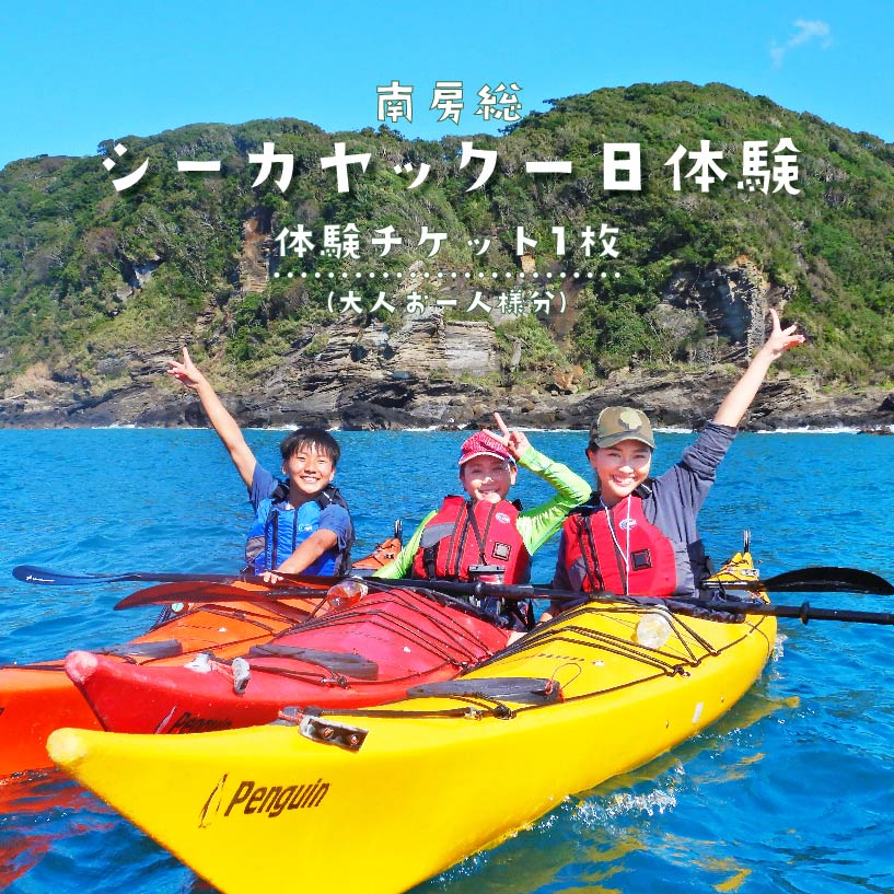 54位! 口コミ数「0件」評価「0」 南房総シーカヤック1日体験（大人お一人様分） mi0040-0002 千葉県 南房総市 アウトドア レジャー ビーチ スポーツ マリンスポ･･･ 