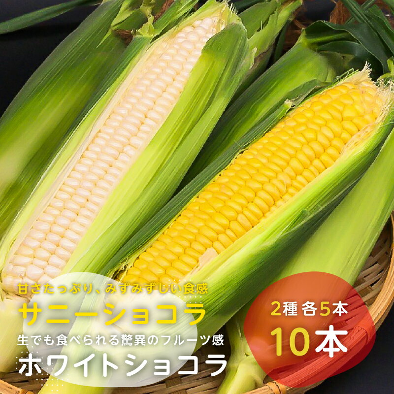 8位! 口コミ数「0件」評価「0」【先行受付 2024年6月中旬よりお届け】トウモロコシ（サニーショコラ5本、ホワイトショコラ5本）10本 格別 生野菜 野菜 茹で 焼き 蒸･･･ 