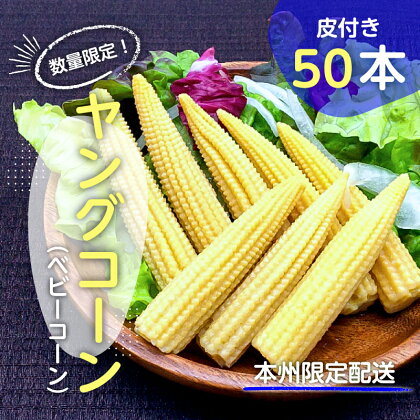 【先行受付 2024年6月中旬よりお届け】数量限定！ヤングコーン(ベビーコーン）50本 mi0044-0003 千葉県 南房総市 サラダ 生野菜 野菜 茹で 焼き 蒸し 鮮度 お取り寄せ グルメ みずみずしい コーン とうもろこし 送料無料