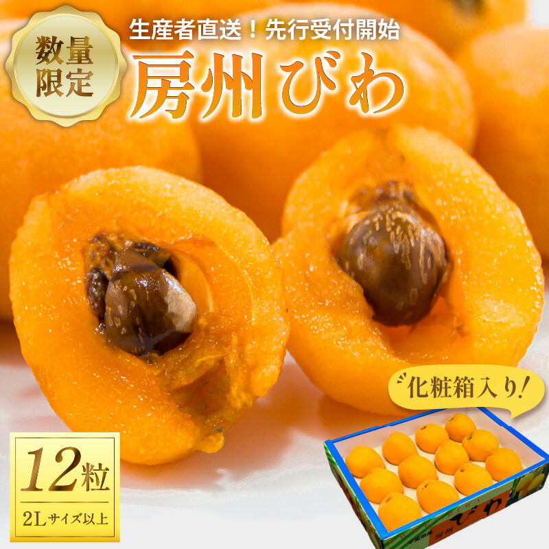 [先行受付 2026年5月下旬〜6月中旬発送予定]房州びわ2Lサイズ以上×12粒(化粧箱入り) 千葉県 南房総市 大粒 果肉が甘い 軟らかい ジューシー カロテン 食物繊維 栄養素 豊富 甘酸っぱい 送料無料
