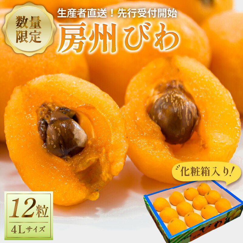 [先行受付 2026年5月下旬〜6月中旬発送予定]房州びわ4L以上サイズ×12粒(化粧箱入り) 千葉県 南房総市 大粒 果肉が甘い 軟らかい ジューシー カロテン 食物繊維 栄養素 豊富 甘酸っぱい 送料無料