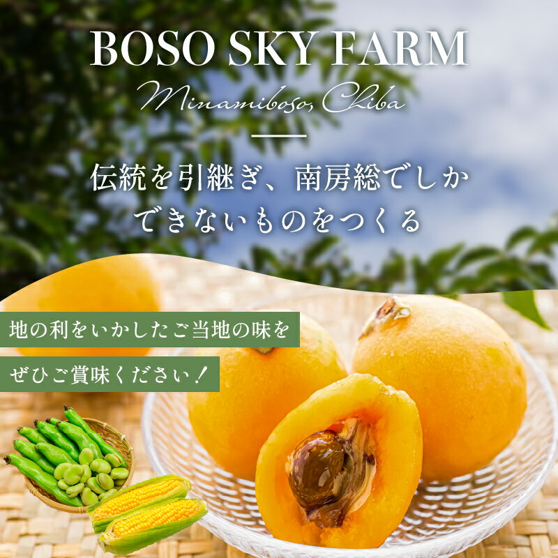 千葉県南房総市の画像3