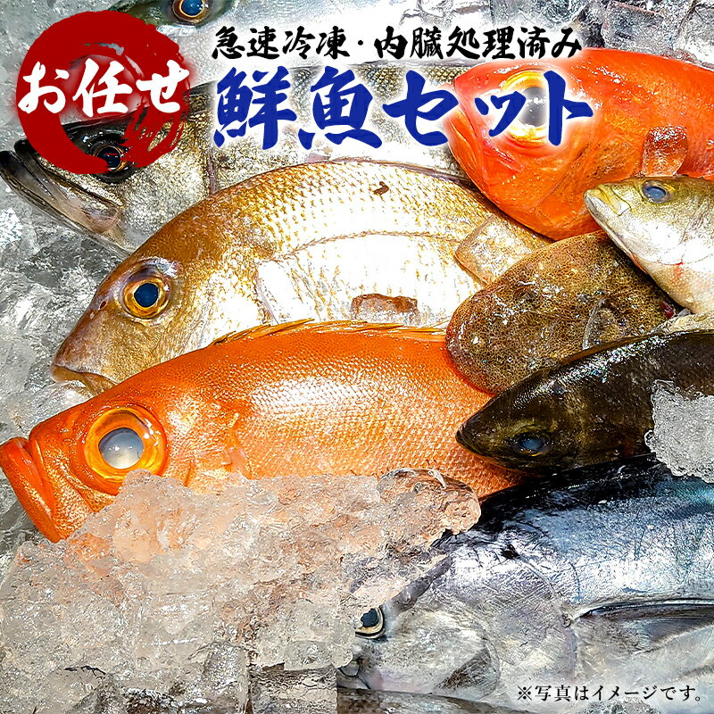 32位! 口コミ数「0件」評価「0」急速冷凍・内臓処理済み お任せ鮮魚セット mi0051-0007 千葉県 南房総市 グルメ 絶品 お刺身 新鮮 活きの良さ 旨味 魚介 地魚･･･ 