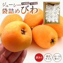 【ふるさと納税】【先行受付 2025年5月中旬~6月中旬発送予定】生産者直送 ジューシー袋詰めびわ 訳あり 混合サイズ 12~15個 【数量限定】 千葉県 南房...