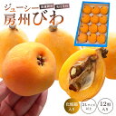 【ふるさと納税】【数量限定・先行受付】生産者直送 ジューシー 房州びわ 2Lサイズ以上 化粧箱入り mi0057-0002 千葉県 南房総市 果物 フルーツ 季節限定 新鮮 食べ応え 大きい 甘い 程よい酸味 お取り寄せ 送料無料