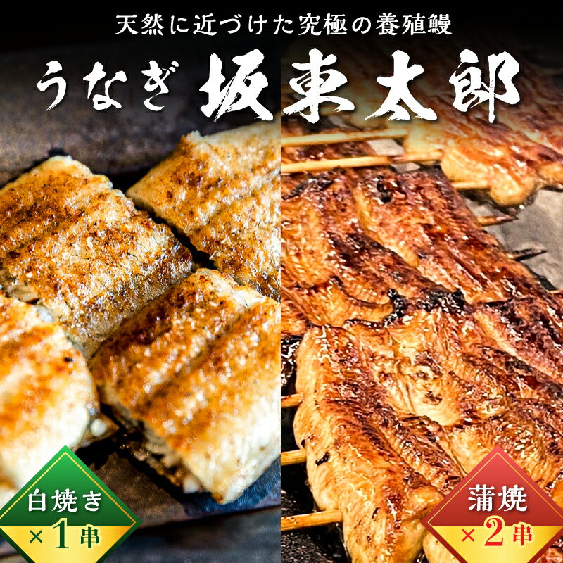 52位! 口コミ数「0件」評価「0」のし対応可能 国産 うなぎ 「坂東太郎 使用」 蒲焼 2串 ・ 白焼 1串 大サイズ 130g前後×3串 mi0058-0003千葉県 南房･･･ 