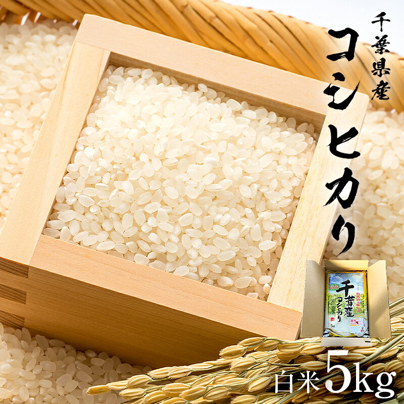 人気ランキング第63位「千葉県南房総市」口コミ件数「0件」評価「0」【2023年産】 千葉県産こしひかり 白米5kg mi0068-0001 千葉県 南房総市 新鮮 米 こだわり 品質 グルメ おにぎり 食品 送料無料
