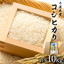 人気ランキング第26位「千葉県南房総市」口コミ数「0件」評価「0」【2023年産】 千葉県産こしひかり 白米 10kg mi0068-0002 千葉県 南房総市 新鮮 米 こだわり 品質 グルメ おにぎり 食品 送料無料