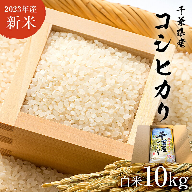 【ふるさと納税】【2023年産新米】 千葉県産こしひかり 白米 10kg mi006...