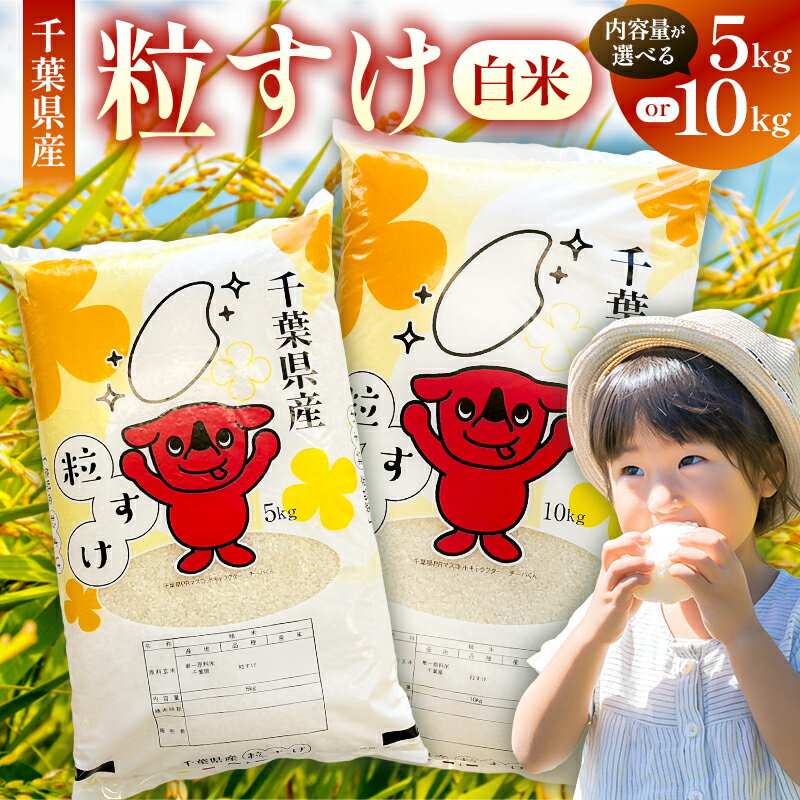 [内容量が選べる][2025年度産][新米] 千葉県産粒すけ 白米 千葉県 南房総市 粒すけ 米 お米 新米 精米 ごはん ご飯 白米 おにぎり お弁当 和食 洋食 中華 料理 送料無料