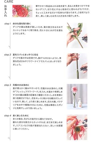 千葉県南房総市の画像3