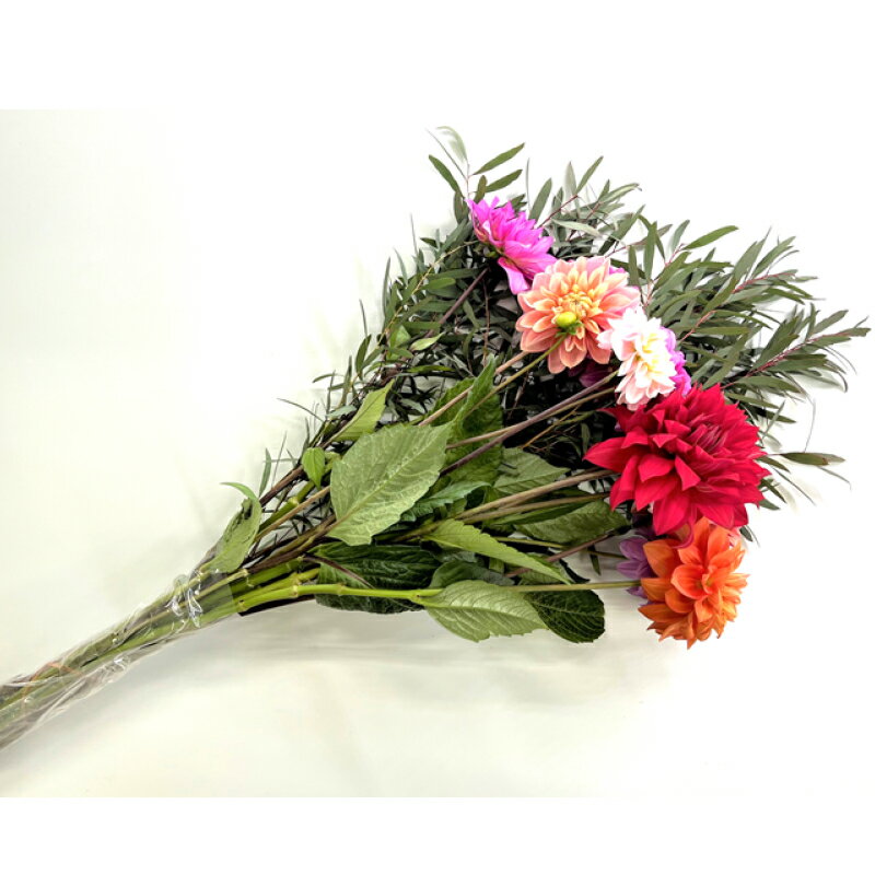 千葉県南房総市の画像2