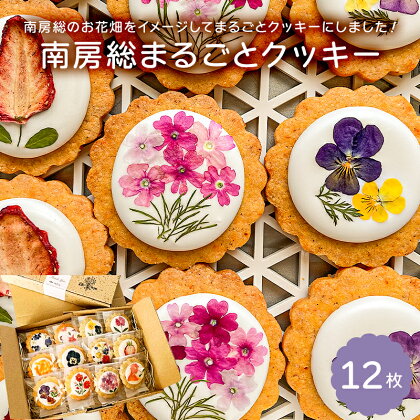 のし対応可能 南房総まるごとクッキー12枚入（カレンデュラ＆レモン、菜の花＆落花生） mi0085-0003 千葉県 南房総市 お花畑 綺麗な エディブルフラワー 手作り キンセンカ 焼き菓子 洋菓子 スイーツ 送料無料