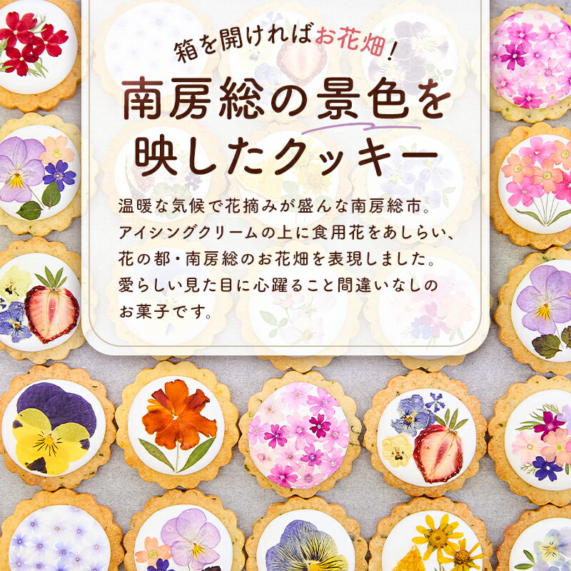 千葉県南房総市の画像2