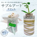 【ふるさと納税】 サブルアート サティス 千葉県 南房総市 砂の芸術 グラス 水洗い可 観葉植物 アロマディフューザー ペン立て 手作り 贈り物 プレゼント 鉢 シンプル おしゃれ ハンドメイド オリジナル 送料無料(3)