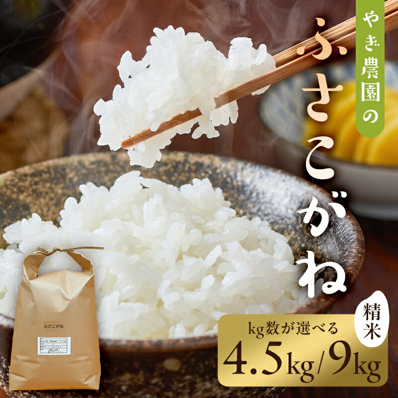 【ふるさと納税】 【配送月・kg数が選べる】ふさこがね精米【2024年産】 千葉県 南房総市 米 お米 精米 白米 天日干し ごはん 常温 食品 国産 ふさこがね 大粒 お取り寄せ グルメ 送料無料