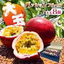 【ふるさと納税】【2025年7月中旬~9月中旬発送予定】パッションフルーツ大玉8個 果物 フルーツ パッションフルーツ 甘味 酸味 トロピカル ヨーグルト アイス ギフト