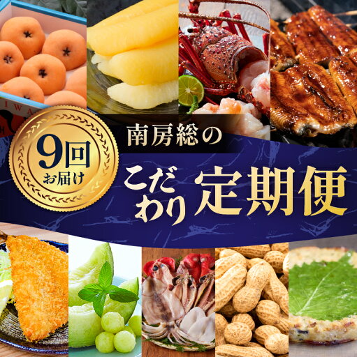 【ふるさと納税】【9回お届けコース】南房総のこだわり定期便 千葉県 南房総市 魚介 海産物 金目鯛 さんが焼 アクアメロン 房州びわ うなぎ 蒲焼 てっぱつ あじフライ 生落花生 伊勢海老 塩数の子 送料無料 【ふるさと納税】【9回お届けコース】南房総のこだわり定期便 千葉県 南房総市 魚介 海産物 金目鯛 さんが焼 アクアメロン 房州びわ うなぎ 蒲焼 てっぱつ あじフライ 生落花生 伊勢海老 塩数の子 送料無料