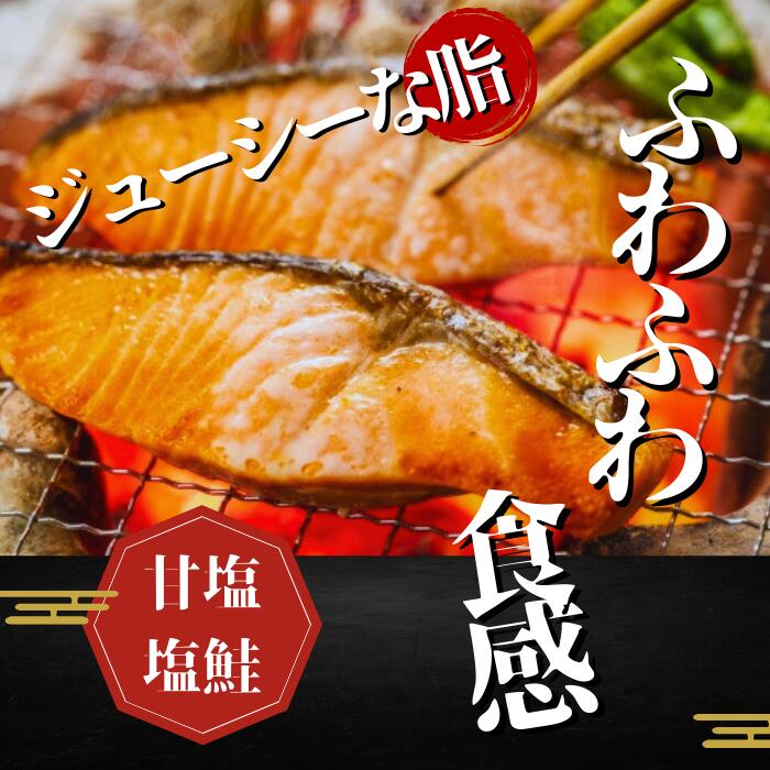 【ふるさと納税】本格銀鮭甘塩切身セット 8切 640g 鮭 切り身 個包装 冷凍 さけ サケ しゃけ 銀鮭 千葉県 匝瑳市