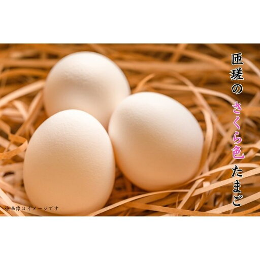 【ふるさと納税】選べる容量 匝瑳の“さくら色”たまご Lサイズ 贈答用 / 卵 タマゴ 玉子 こだわり 新鮮 送料無料 千葉県 【ふるさと納税】選べる容量 匝瑳の“さくら色”たまご Lサイズ 贈答用 / 卵 タマゴ 玉子 こだわり 新鮮 送料無料 千葉県