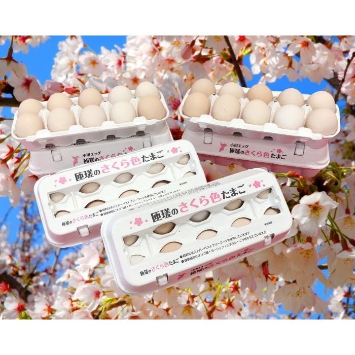 【ふるさと納税】選べる容量　匝瑳の“さくら色”たまご Lサイズ 贈答用 ／ 卵 タマゴ 玉子 たまご さくら色たまご 新鮮 千葉県 匝瑳市 送料無料
