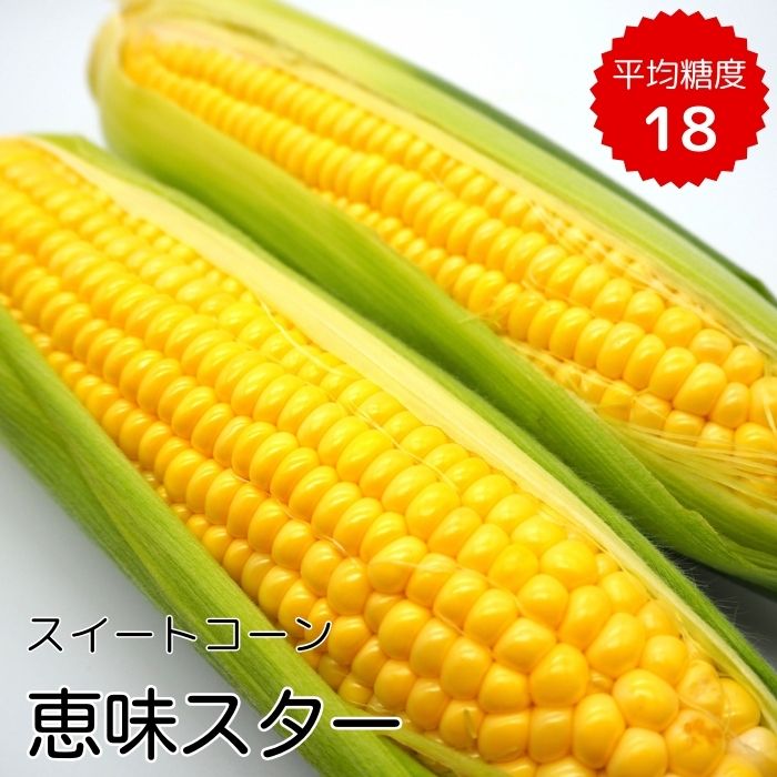 【ふるさと納税】《先行予約》朝採り とうもろこし スイートコーン 恵味スター 5kg(10~13本)