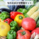 【ふるさと納税】旬のおまかせ野菜セット 4種類以上 / 野菜 やさい 旬の野菜 セット 詰め合わせ 定期便