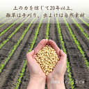 千葉県匝瑳市の画像3